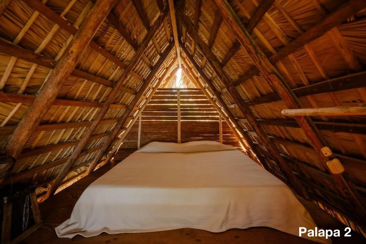 Деревянный коттедж Ecolodge Tubagua Puerto Plata